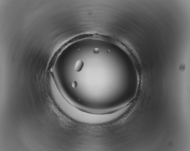 X0000111470876200907201134