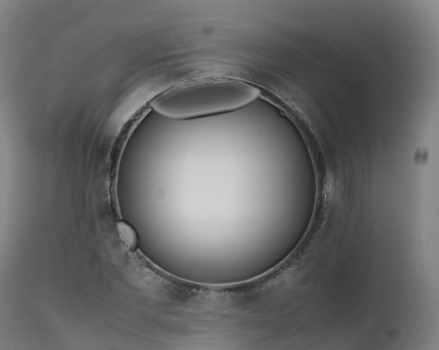 X0000111470877200907201134