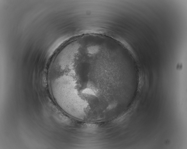 X0000111470878200907201134