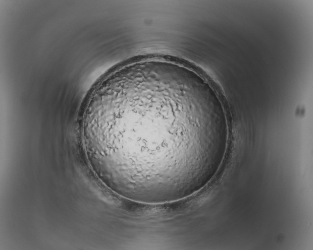 X0000111470879200907201134