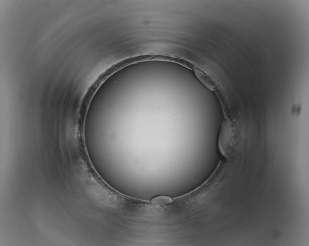 X0000111470880200907201134