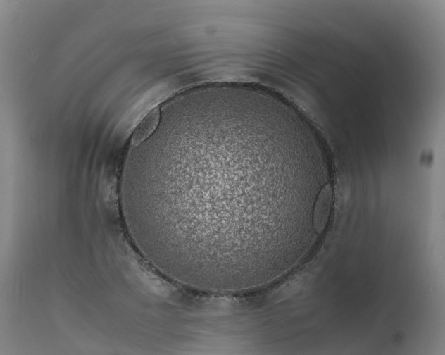 X0000111470881200907201134