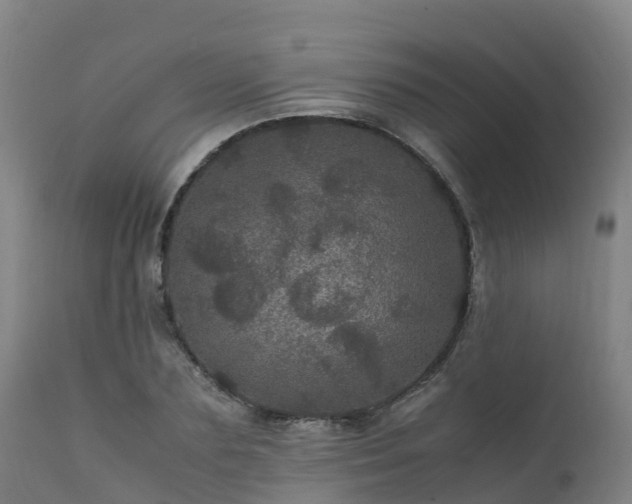 X0000111470883200907201134