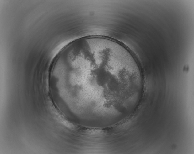 X0000111470886200907201134