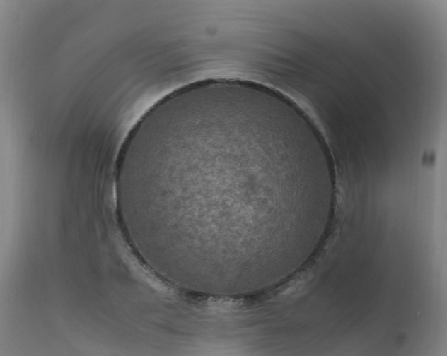 X0000111470887200907201133