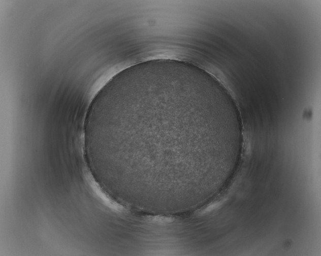 X0000111470890200907201133