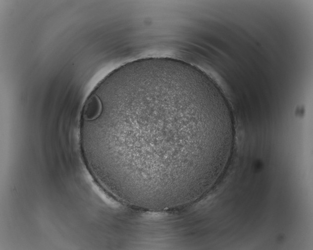 X0000111470894200907201133