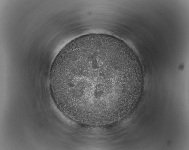 X0000111470895200907201133