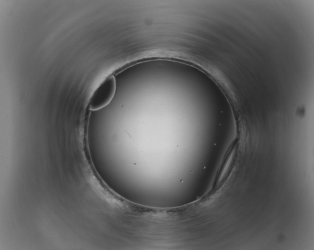 X0000111470896200907201133