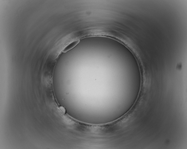 X0000111470897200907201133