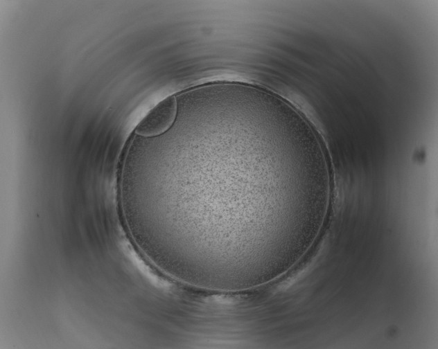 X0000111470898200907201133