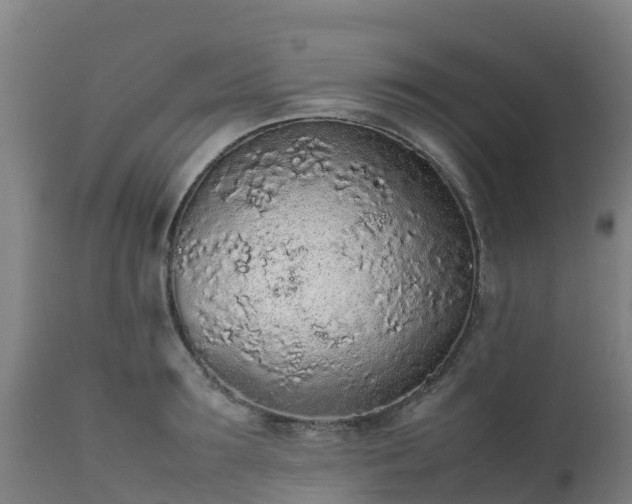 X0000111470899200907201133