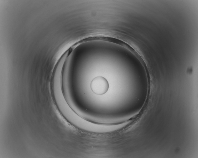 X0000111470901200907201133