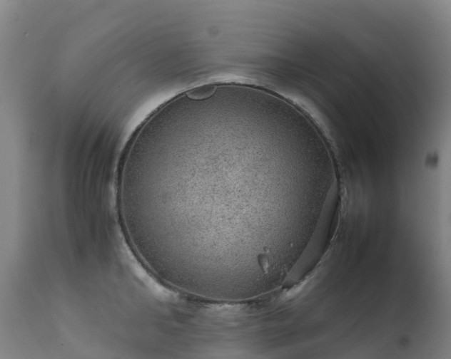 X0000111470902200907201133