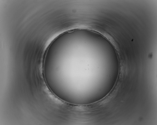 X0000111470904200907201133