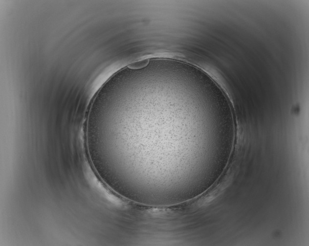 X0000111470906200907201133