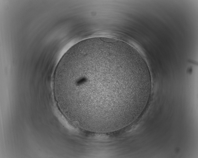 X0000111470907200907201133