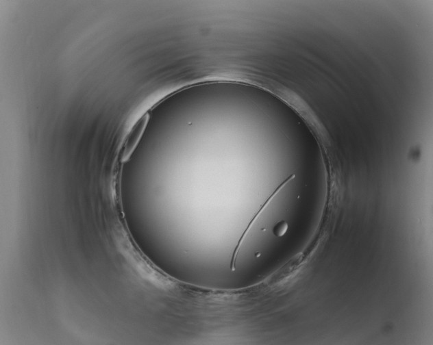 X0000111470908200907201133