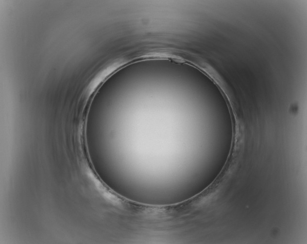 X0000111470909200907201133