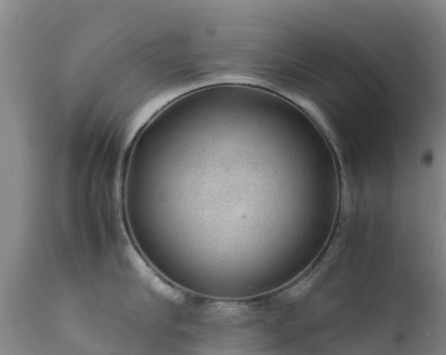 X0000111470910200907201133