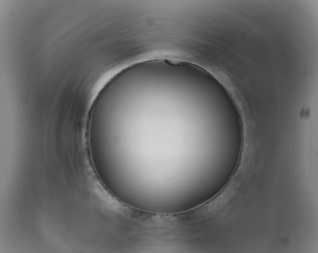 X0000111470912200907201133