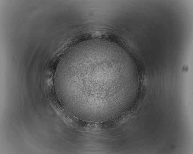 X0000111470914200907201133