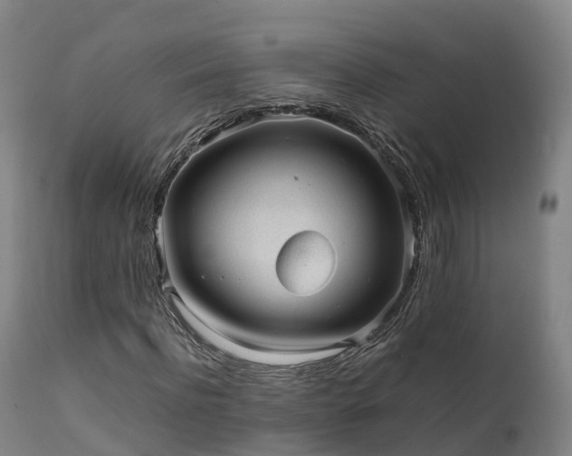 X0000111470916200907201133