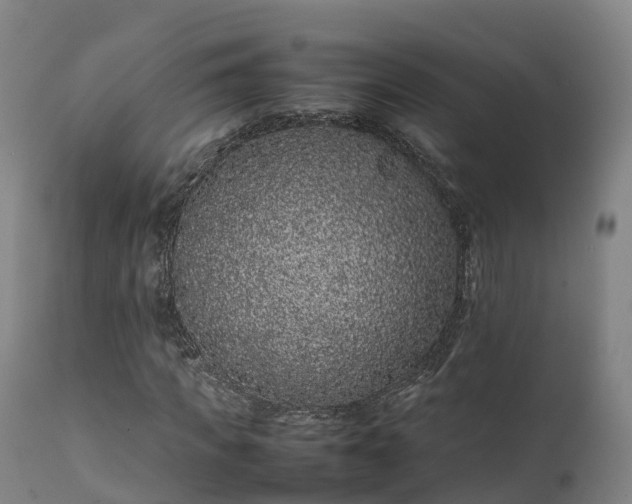 X0000111470917200907201133