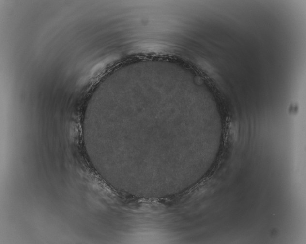 X0000111470918200907201133