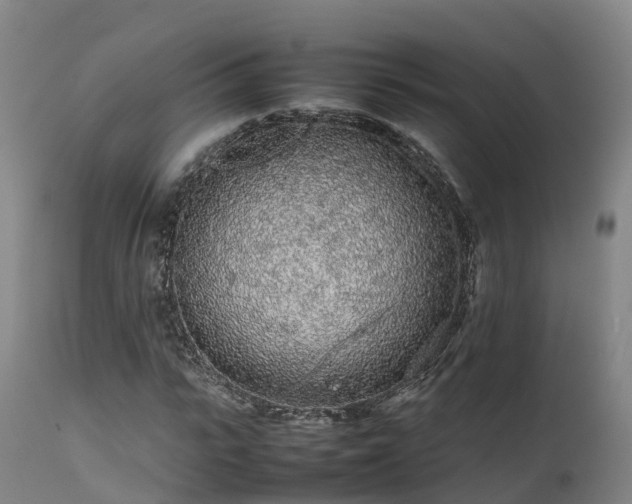 X0000111470919200907201133