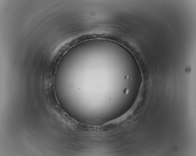 X0000111470920200907201133