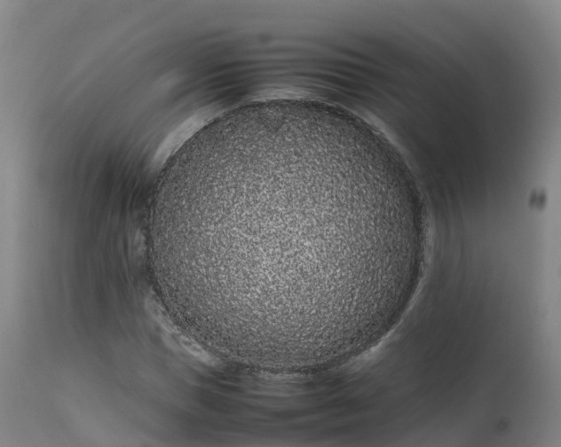 X0000111470921200907201133