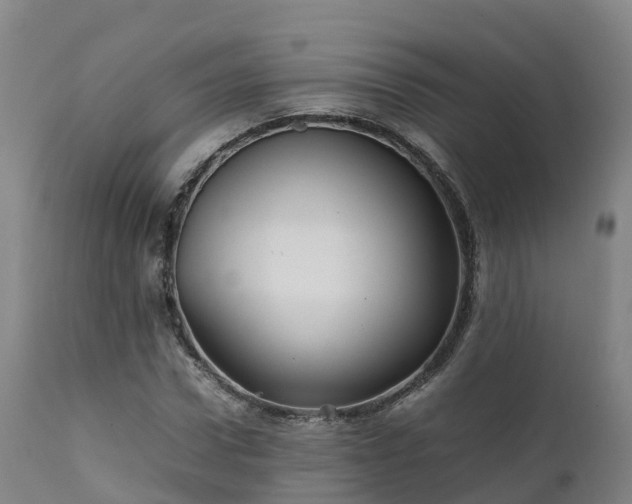 X0000111470922200907201133