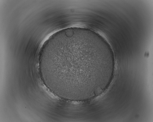 X0000111470923200907201133