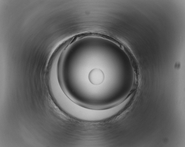 X0000111470924200907201133