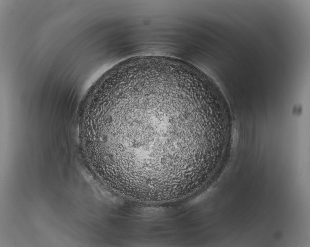 X0000111470925200907201133