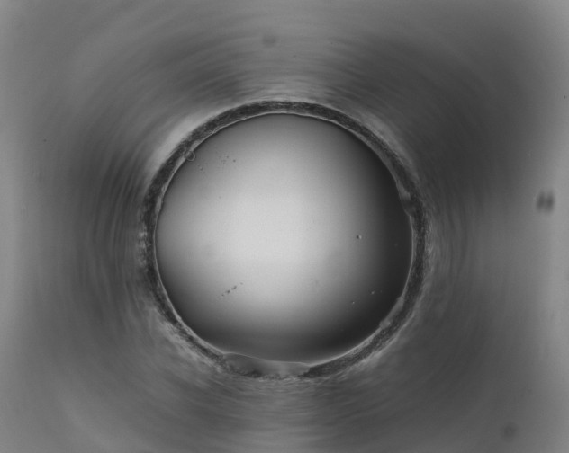 X0000111470926200907201133