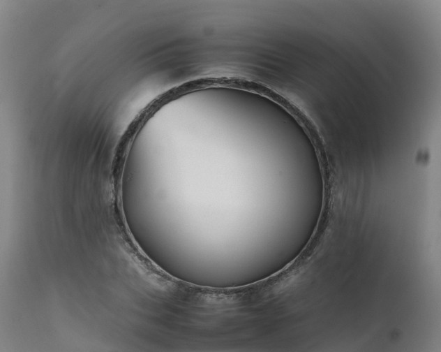 X0000111470927200907201133