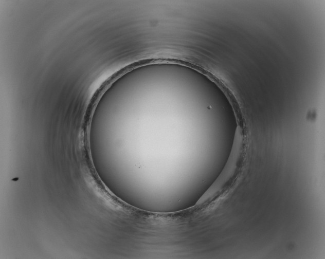 X0000111470928200907201133