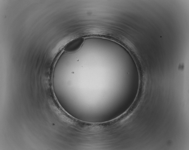 X0000111470930200907201133