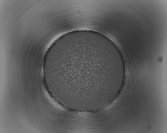 X0000111470934200907201133