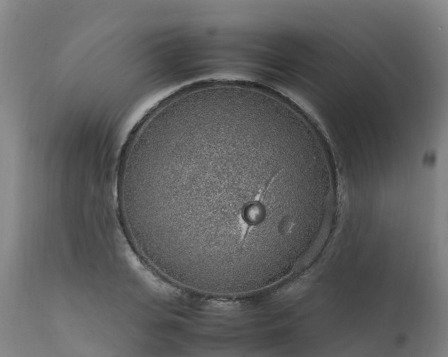 X0000111470935200907201133