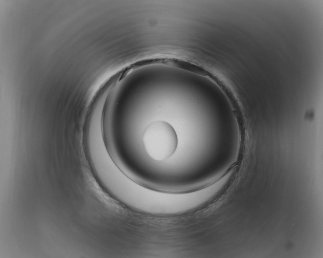 X0000111470936200907201133