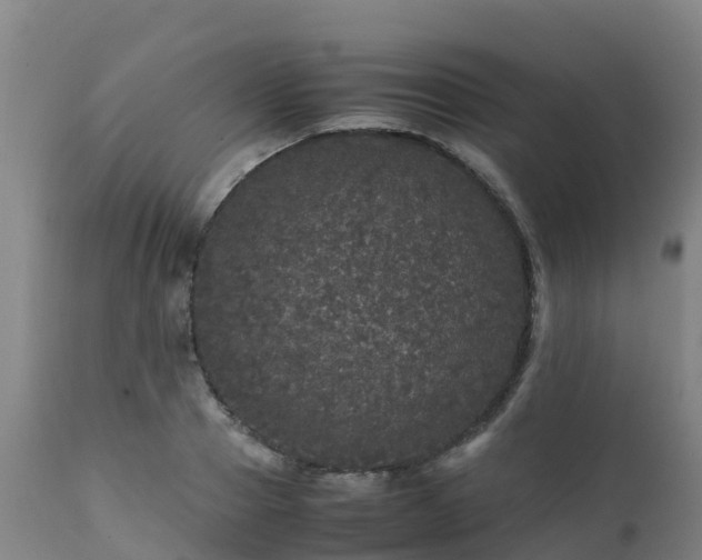 X0000111470937200907201133