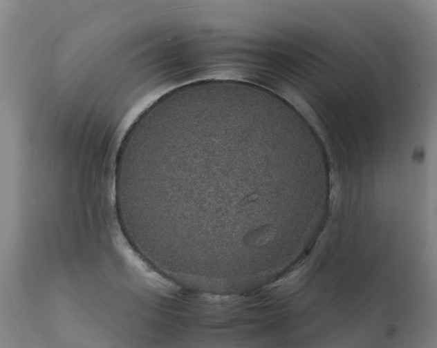 X0000111470939200907201133