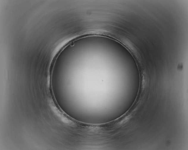 X0000111470940200907201133