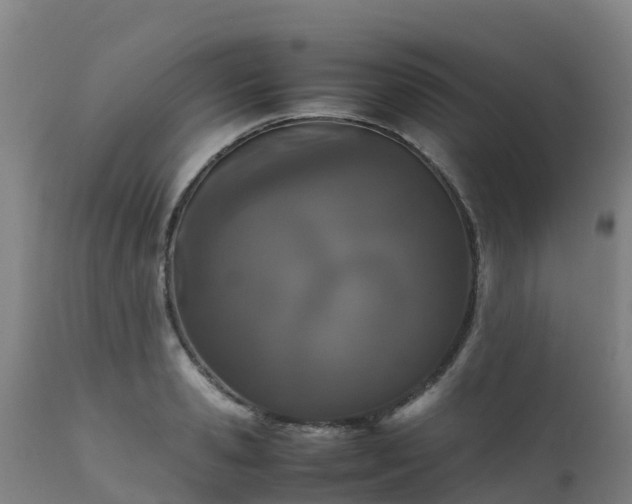 X0000111470941200907201133