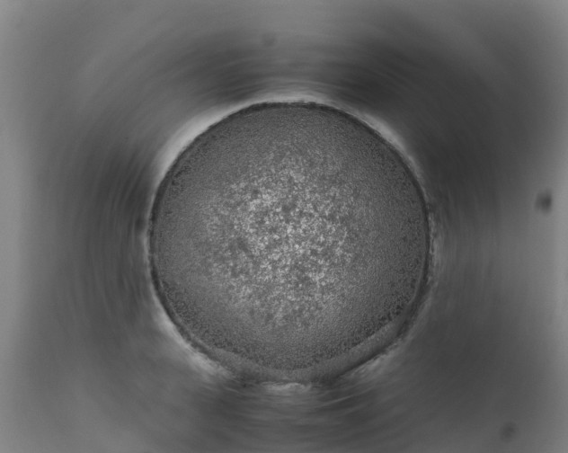 X0000111470943200907201133