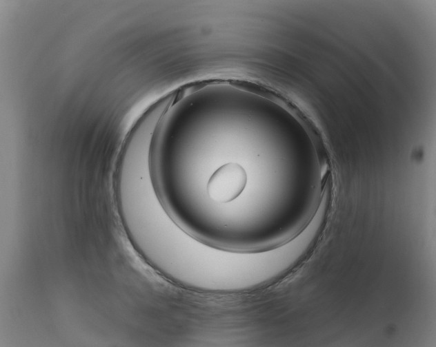 X0000111470944200907201133