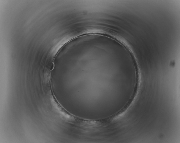 X0000111470945200907201133